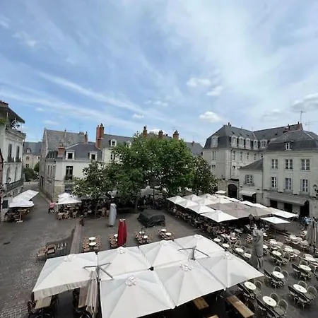 Apartment T2 Vue Sur La Place Plumereau *